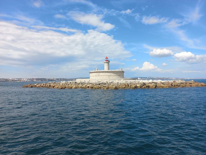 Lisbon: Tagus River Cruise to the Ocean & Dolphin Watching - Should you book this Lisbon dolphin cruise?