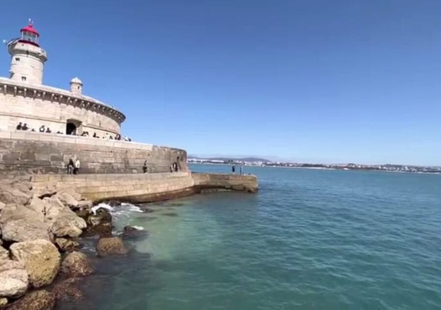 Lisbon: Tagus River Cruise to the Ocean & Dolphin Watching - Guides like Anna and Barbara, and how the boat staff work the search