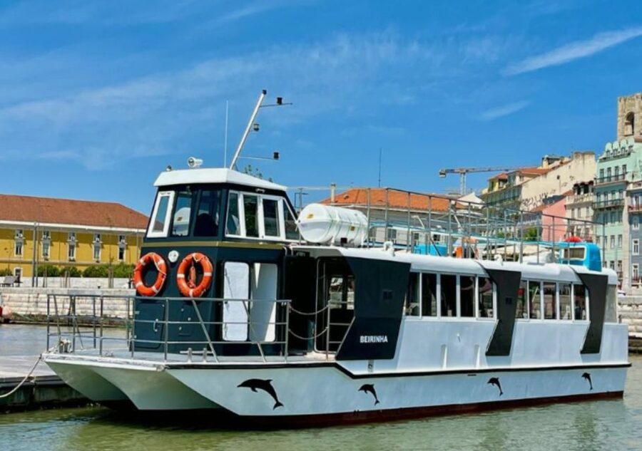 Lisbon: Tagus River Cruise to the Ocean & Dolphin Watching - Best time to go and what to pack for river-to-sea weather