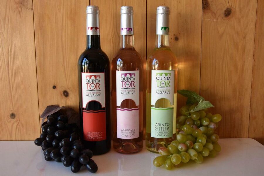 Loulé: Quinta da Tôr Winery Guided Tour and Wine Tasting - Your 30 minutes inside the guided winery walk