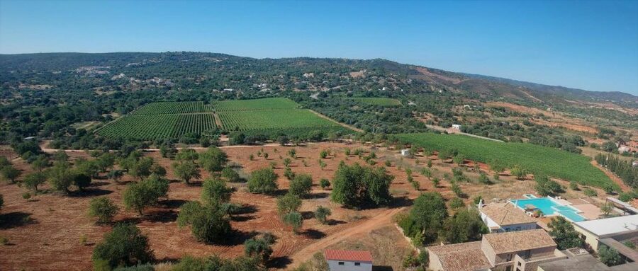 Loulé: Quinta da Tôr Winery Guided Tour and Wine Tasting - The tasting that lasts 1.5 hours, with four wines and real pairings