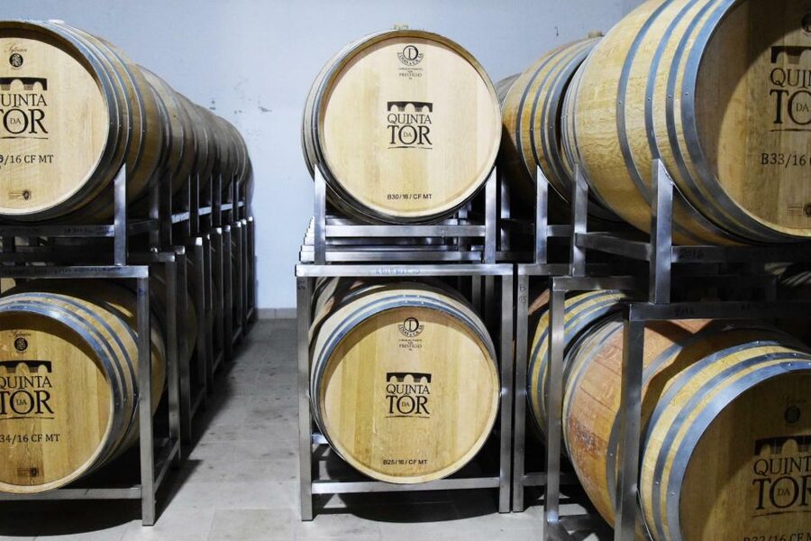 Loulé: Quinta da Tôr Winery Guided Tour and Wine Tasting - Pairing bread and olive oil, then building your own mini meal
