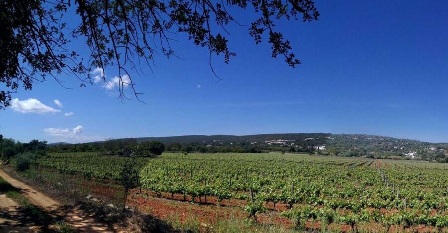 Loulé: Quinta da Tôr Winery Guided Tour and Wine Tasting - Finding the meeting spot near the purple tiles
