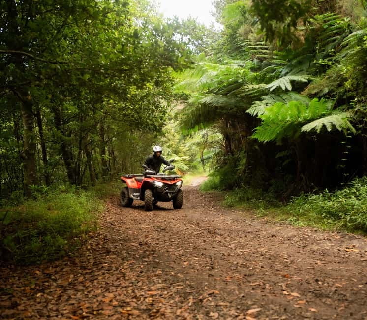 Madeira: Aventura Off-Road de ATV ou Quad - Adrenalina - Key things to know before you book