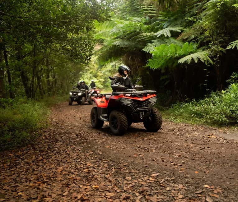 Madeira: Aventura Off-Road de ATV ou Quad - Adrenalina - Madeira ATV Adventure in 2.5 hours: what it’s really like