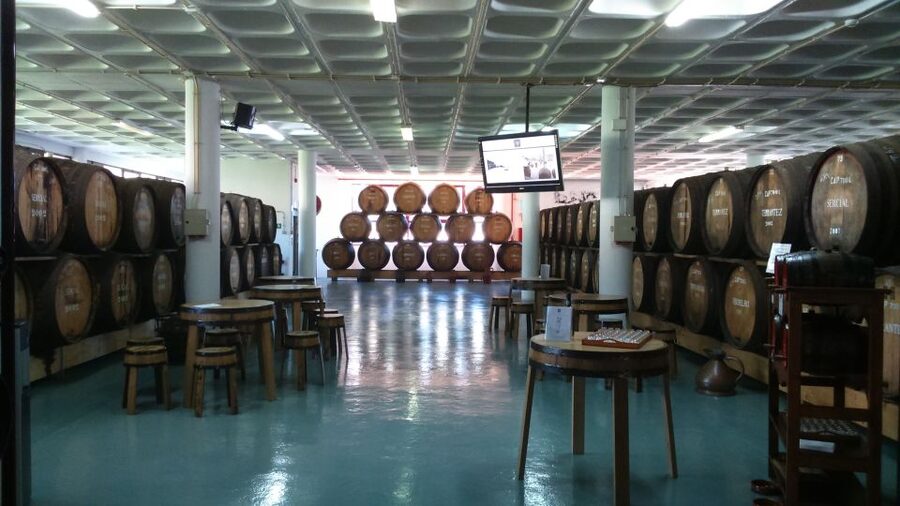Madeira: Cabo Girao, Jeep Tour Adventure and Wine Tasting - Câmara de Lobos: Ending in a Classic Fishing Village Setting