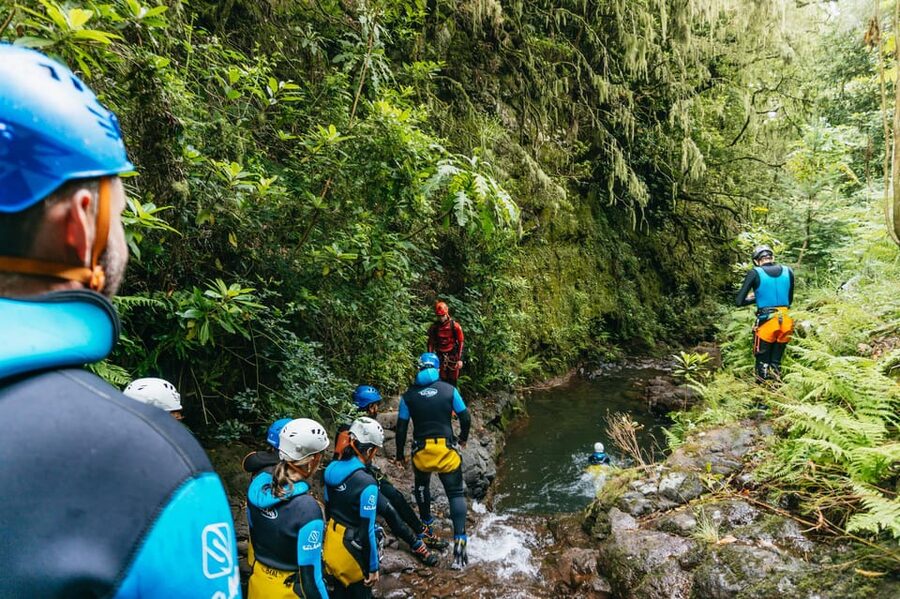 Madeira Canyoning Beginners - Easy & Fun Waterfall Adventure - The Green Canyon Experience With Treebeards and Endemic Plants