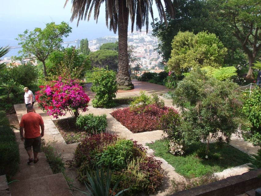 Madeira: Customized 3, 4 or 6-Hour Tour - Funchal City Highlights and Sé Cathedral: A Quick Way to Get Your Bearings