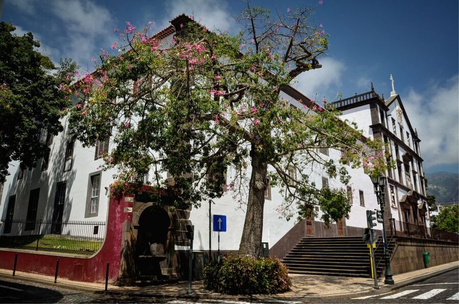 Madeira: Customized 3, 4 or 6-Hour Tour - Fajã dos Padres: The Stop That Needs a Heads-Up