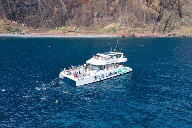 Madeira Dolphin and Whale Watching on a Ecological Catamaran - Key highlights before you go