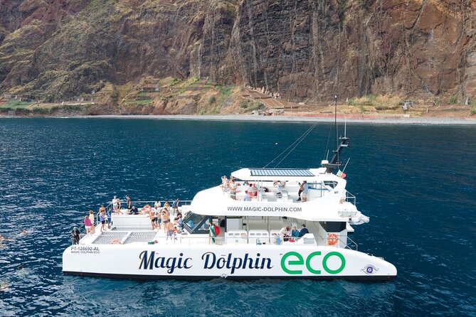 Madeira Dolphin and Whale Watching on a Ecological Catamaran - Eco-friendly catamaran cruising off Funchal is the main attraction