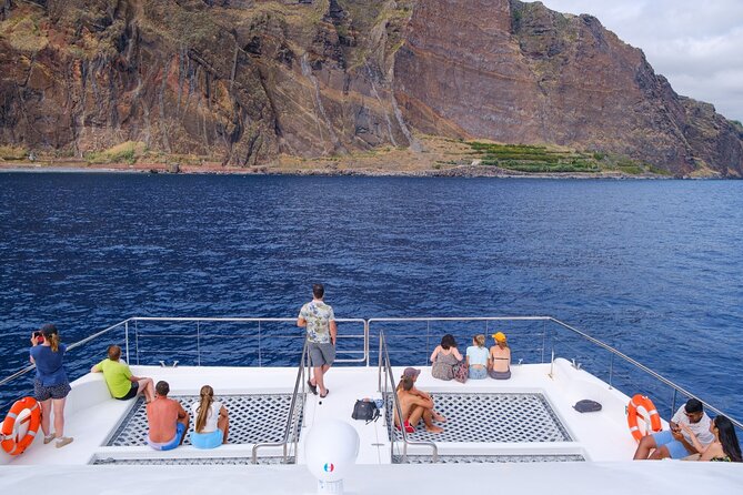 Madeira Dolphin and Whale Watching on a Ecological Catamaran - What the 3-hour cruise feels like in real time