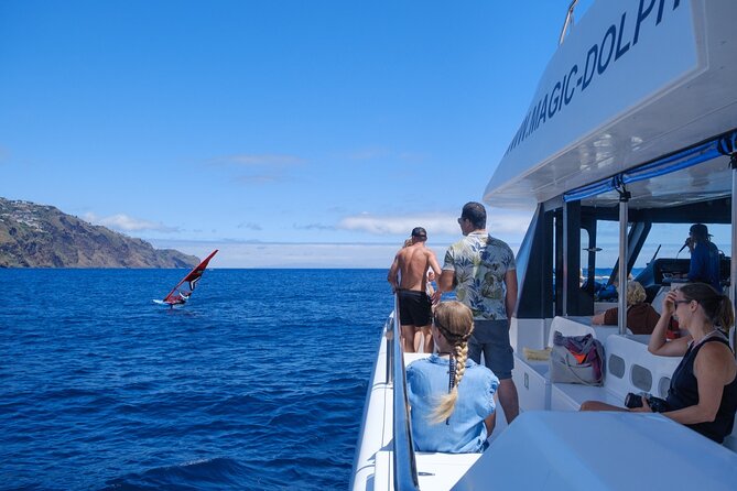 Madeira Dolphin and Whale Watching on a Ecological Catamaran - Hybrid-electric engines and wildlife etiquette you can feel