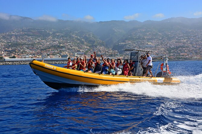 Madeira Dolphin & Whale Watching Tour - Key things to know before you go