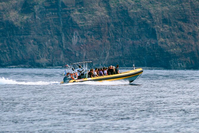 Madeira Dolphin & Whale Watching Tour - Price and value in plain terms, is $58.05 a good deal?