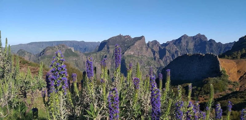 Madeira East Island Tour and Levada Walk - East Madeira in one tight loop: why this itinerary is worth your time