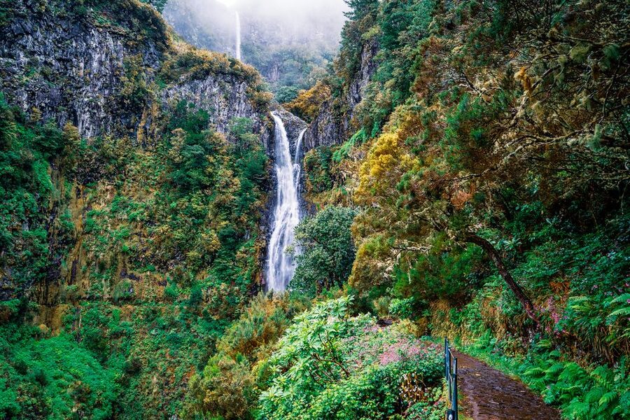 Madeira: Enjoy a Guided Levada Walk in the Rabaçal Valley - Why the Rabaçal Valley levada walk feels special