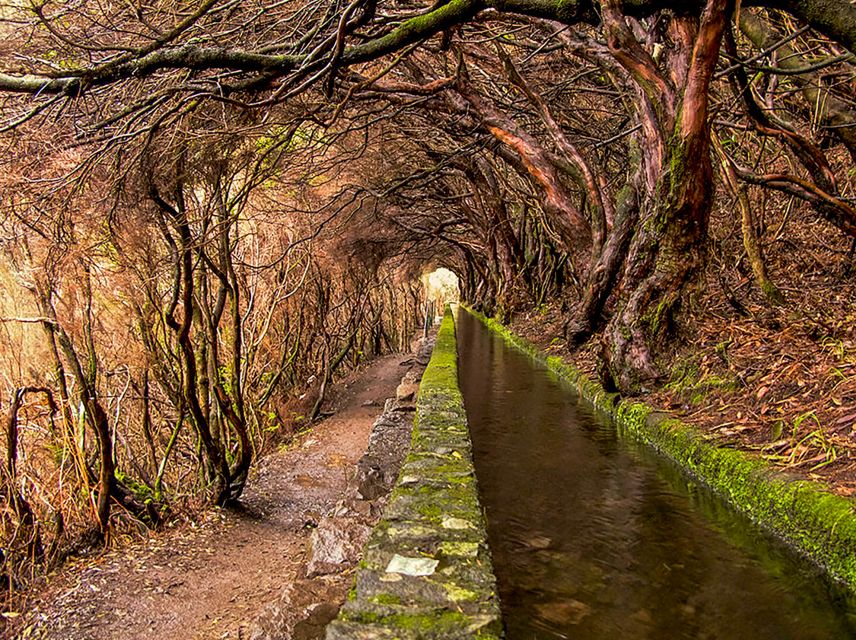 Madeira: Enjoy a Guided Levada Walk in the Rabaçal Valley - Reaching the 25 Fontes springs, where water drops into a cliffside lagoon