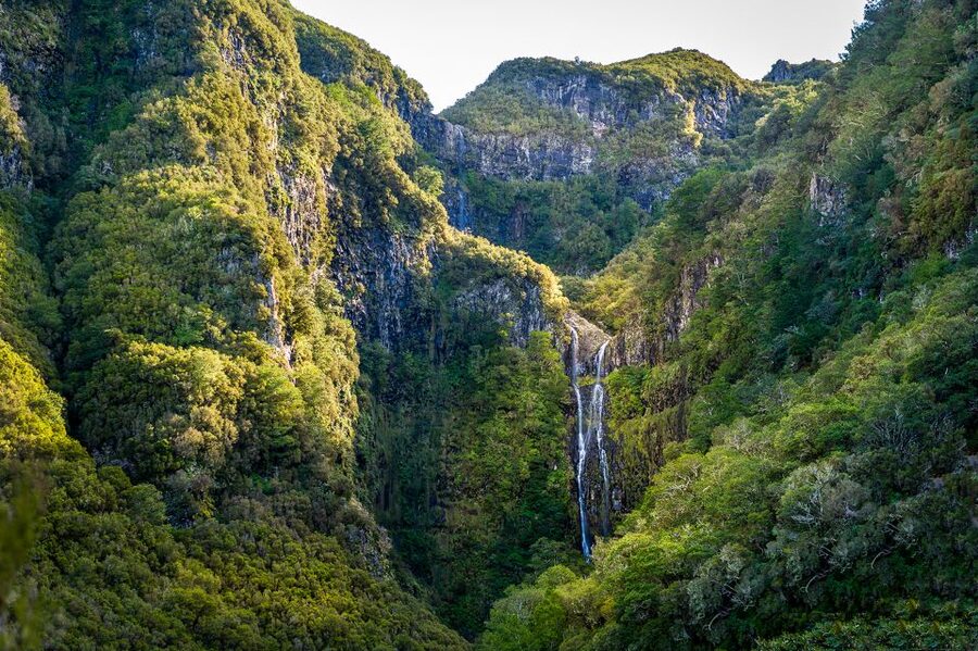 Madeira: Enjoy a Guided Levada Walk in the Rabaçal Valley - Price and value: $50 for 8 hours, pickup included