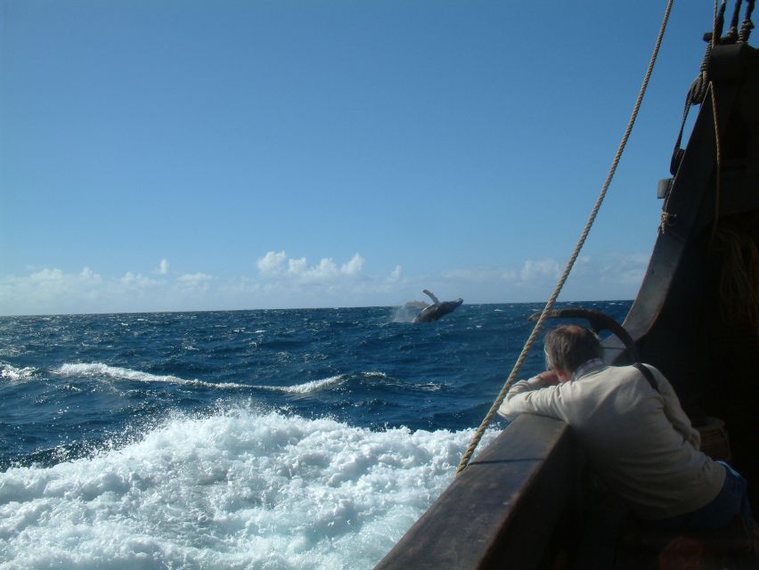 Madeira: Flag Ship Tour aboard Santa Maria de Colombo - Price and value: what $53 buys you in Madeira time