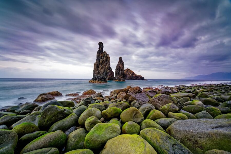 Madeira: Full-Day Jeep Tour, Natural Pools, Seixal & Fanal - São Vicente and Seixal: Black Sand and Rugged North Coast Views