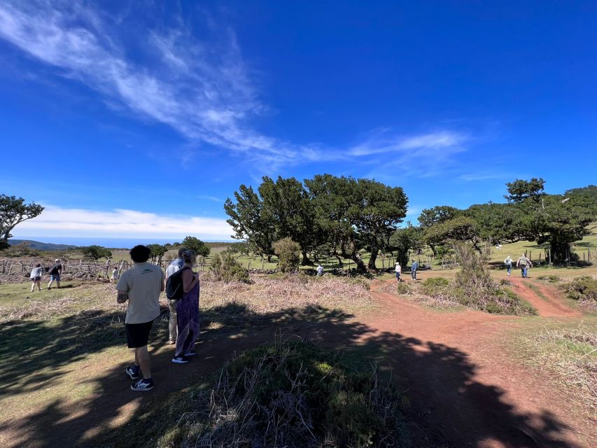 Madeira: Full-Day Jeep Tour with Guide and Pickup - Porto Moniz: natural volcanic swimming pools and lunch time you control