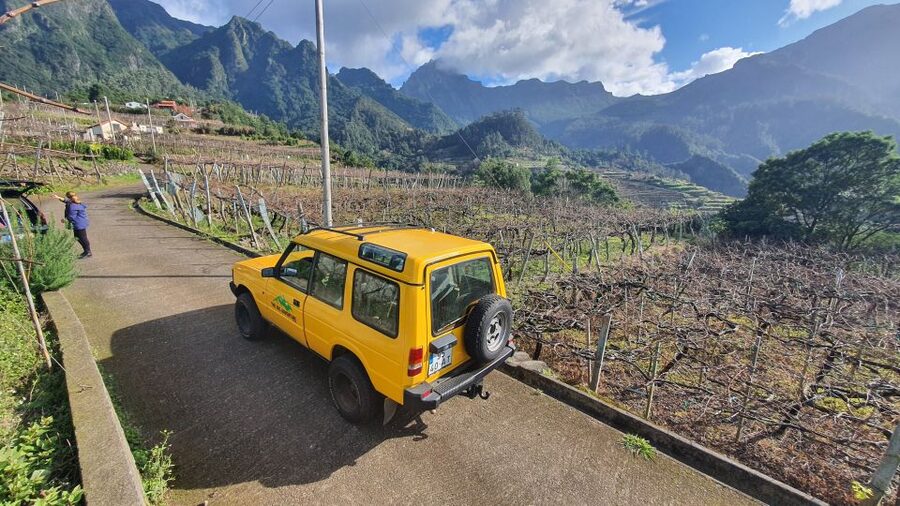 Madeira: Full-Day Jeep Tour with Guide and Pickup - Fanal Forest: Laurisilva-style calm when the action pauses