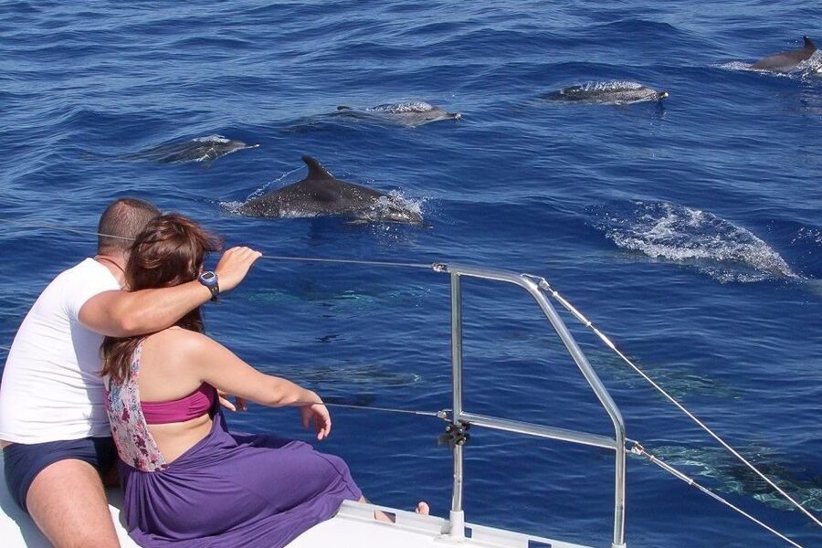 Madeira: Funchal Sunset Tour by Catamaran - Why This Funchal Sunset Catamaran Feels Like a Real View, Not a Moving Photo