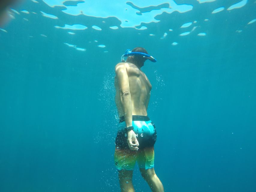 Madeira: Garajau Nature Reserve Kayak and Snorkel Tour - Key reasons this Garajau kayak and snorkel tour works