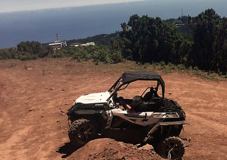 Madeira: Half-Day Off-Road Buggy Tour - Break stops: poncha, drinks, and keeping energy up