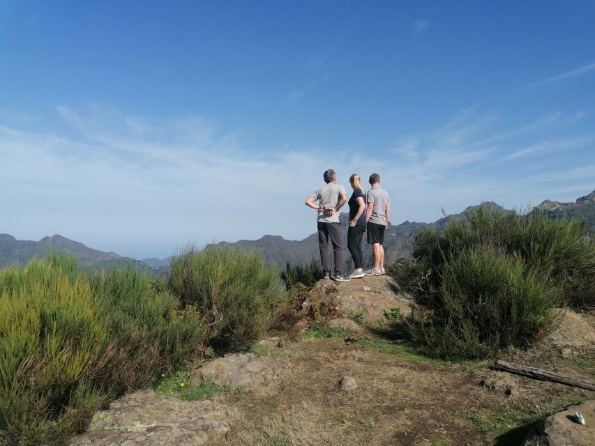 Madeira: Half-Day Off-Road Buggy Tour - Safety, comfort, and who should skip this tour