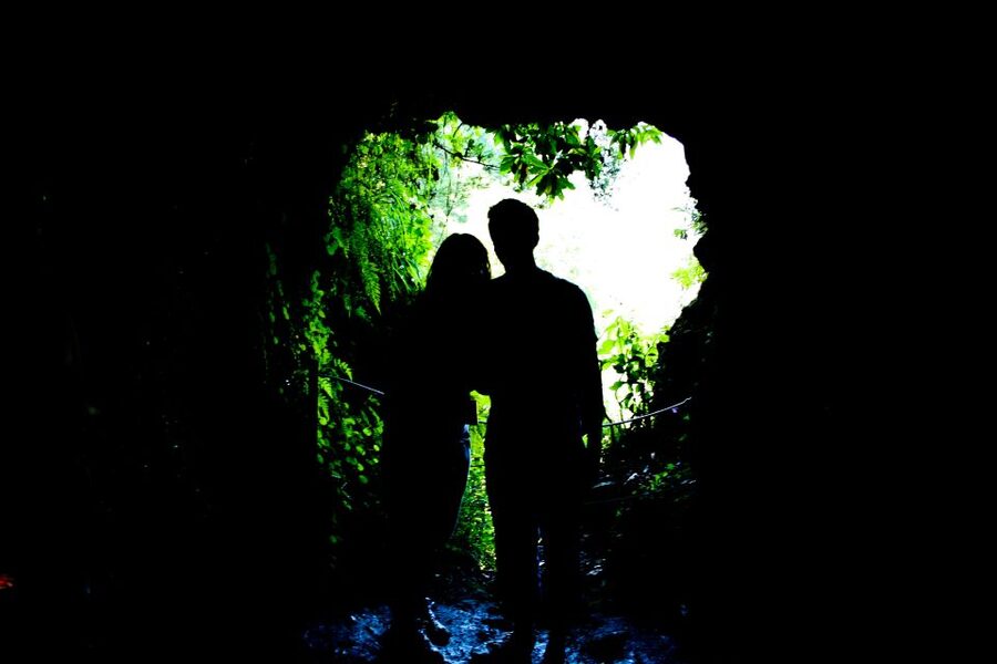 Madeira Island: Caldeirão Verde Levada Walk - Key highlights you will actually care about