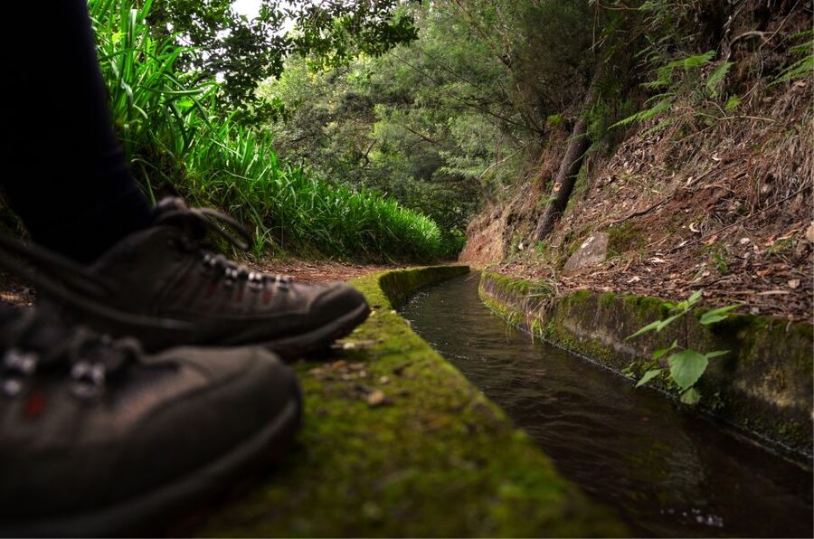 Madeira Island: Caldeirão Verde Levada Walk - Queimadas Forest Park: where the walk starts and what you do in the first stretch