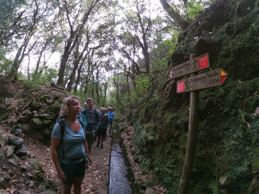 Madeira Island: Caldeirão Verde Levada Walk - Caldeirão Verde waterfall: what the 30-minute break is really for