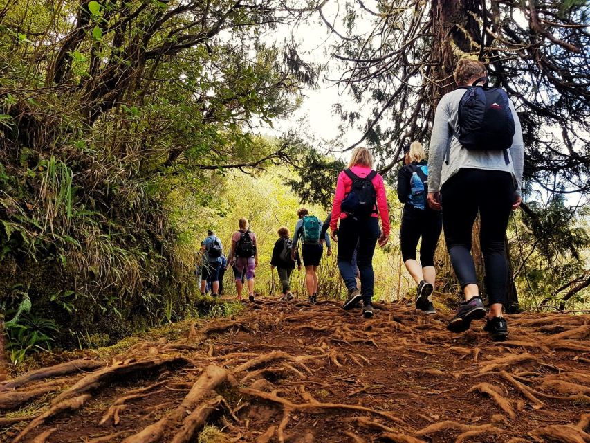 Madeira Island: Caldeirão Verde Levada Walk - What to bring for Madeira rain and rocky trail reality