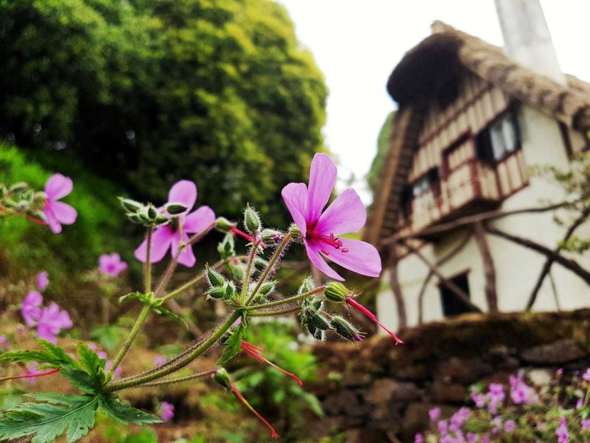 Madeira Island: Caldeirão Verde Levada Walk - Getting there from Funchal: pickup, drive time, and how to avoid stress