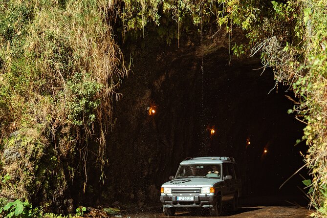 Madeira "Mystery Tour" Full-Day - Private 4x4 Jeep - Pickup, vehicle comfort, and how the day is timed