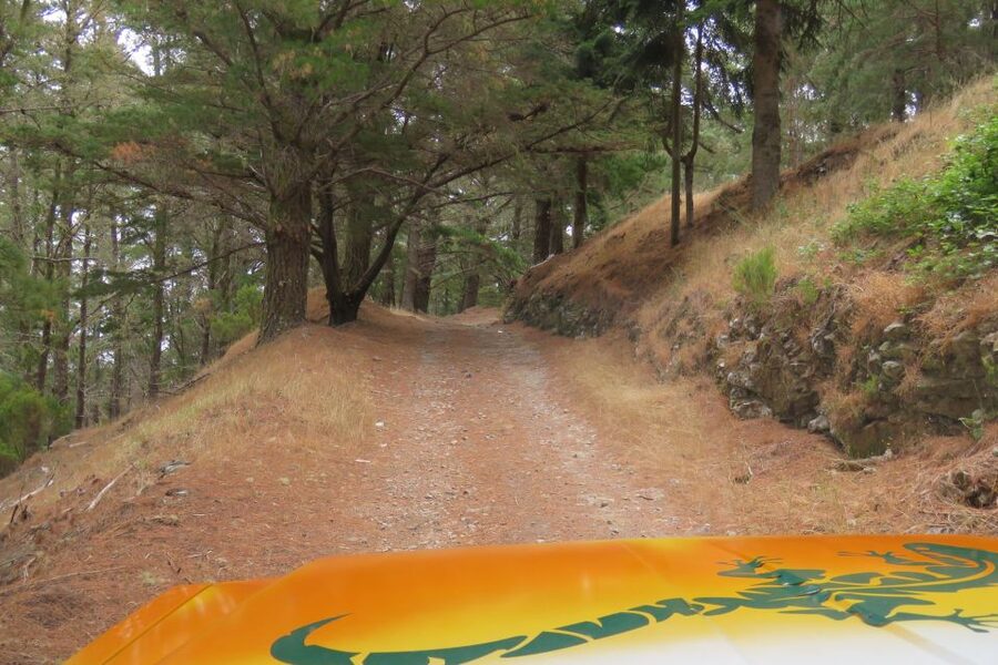Madeira : Nun's Valleys and Pico Areeiro 4X4 Tour - Who should book this 4X4 Nun’s Valley and Pico Areeiro tour