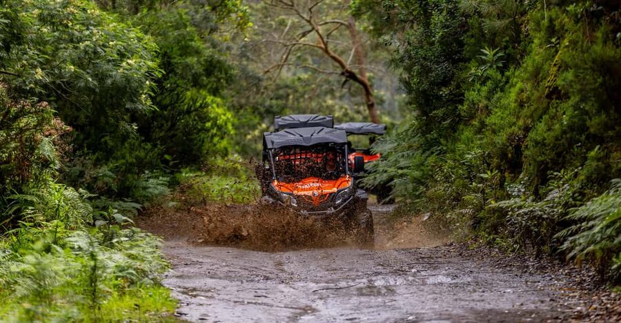 Madeira: Off-Road Buggy Adventure Through Laurissilva Forest - Key things that make this buggy tour worth your time