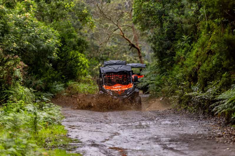 Madeira: Off-Road Buggy Adventure Through Laurissilva Forest - Following Trilho das Funduras to Casa das Funduras
