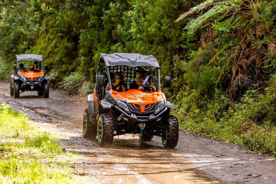 Madeira: Off-Road Buggy Adventure Through Laurissilva Forest - What the buggy feels like on the road and in the forest