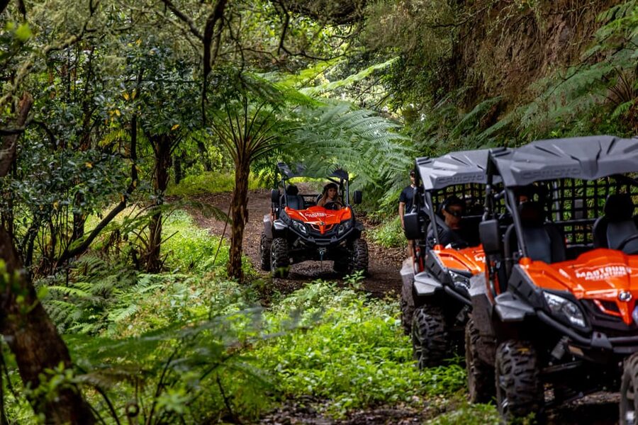 Madeira: Off-Road Buggy Adventure Through Laurissilva Forest - Safety, gear, and the simple rules that keep this fun
