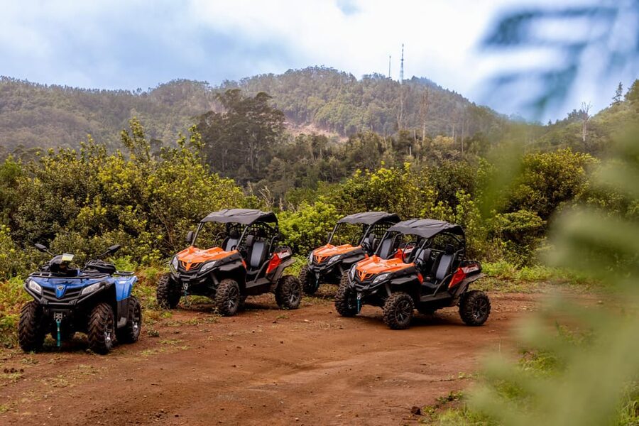 Madeira: Off-Road Buggy Adventure Through Laurissilva Forest - Price and value: what $147 per group up to 2 really buys
