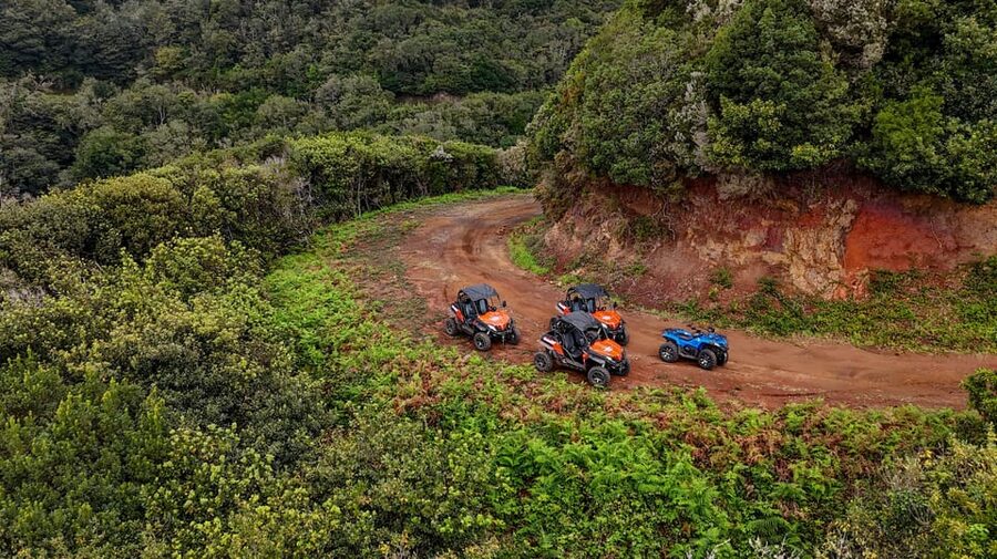 Madeira: Off-Road Buggy Adventure Through Laurissilva Forest - Who should book, and who should skip this buggy adventure