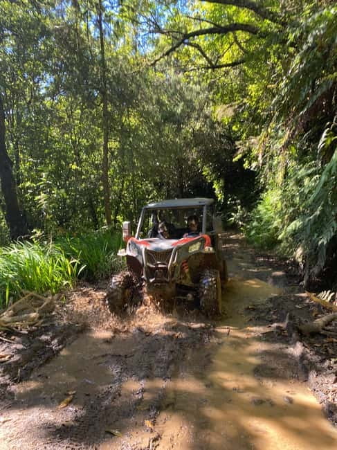 Madeira: Off-Road Buggy Driving Experience - Key things to know before you go