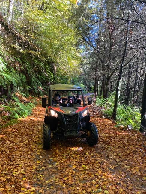 Madeira: Off-Road Buggy Driving Experience - The 2-hour route: forest dirt tracks to mountain photo moments