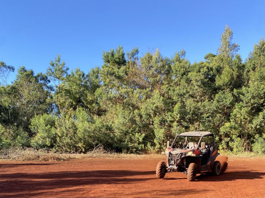 Madeira: Off-Road Buggy Driving Experience - Driving it yourself: how tandems, safety, and first-timers work