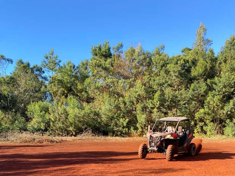 Madeira: Off-Road Buggy Driving Experience - Your guide’s role: fun pacing, island context, and photo help