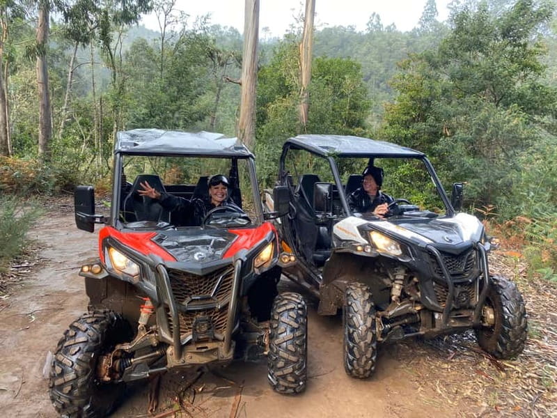 Madeira: Off-Road Buggy Driving Experience - Who should book this buggy tour in Madeira, and who might skip it