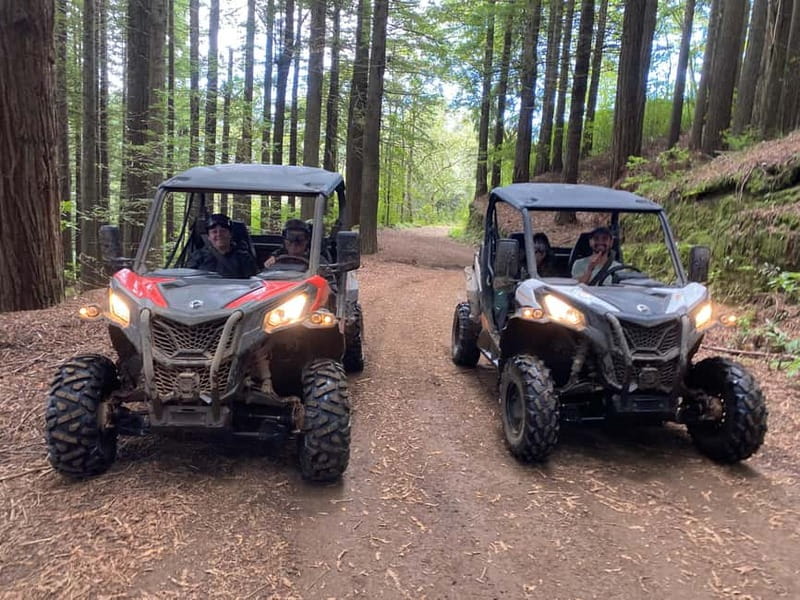 Madeira: Off-Road Buggy Driving Experience - Price, group size, and value for your money